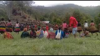 Bakar batu sumbangan sukarela di papua kab.tolikara distrik wakuwo kampung kumbur.