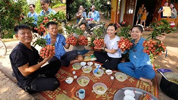 Xuyên Việt về Lục Ngạn cùng Ánh Kua hái và ăn Vải chín tại Vườn cực vui ăn Nồi cháo gà đồi siêu ngon