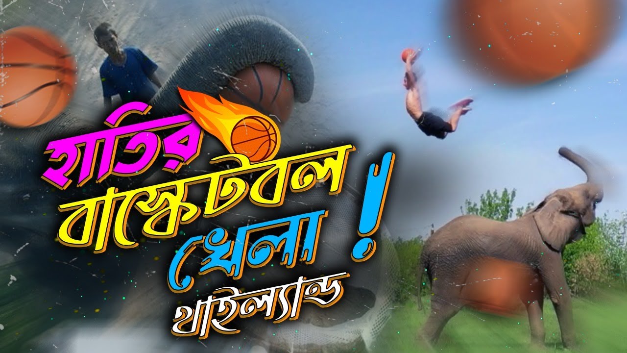 হাতির বাস্কেটবল খেরা || elephant plays basketball || Emrul Kausar Emon