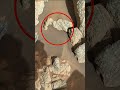 POV: Mars Sent Us a Postcard | Mars 4k Video | Mars In 4k | Mars #shorts