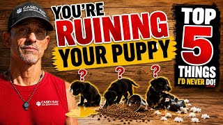 Top 5 Things I’d NEVER Do With a Puppy