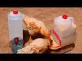 IDEA INUSUAL | Como hacer comedero y bebedero para gallinas ponedoras facil rapido y barato.