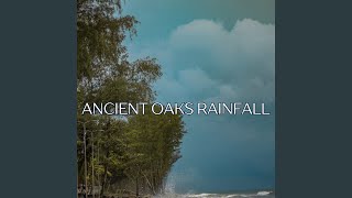 Soft Rain Nature Sounds Blend: Immersive Forest Shower Experience screenshot 2