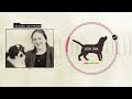 Decoding Dog DNA Tests Mp3 Song