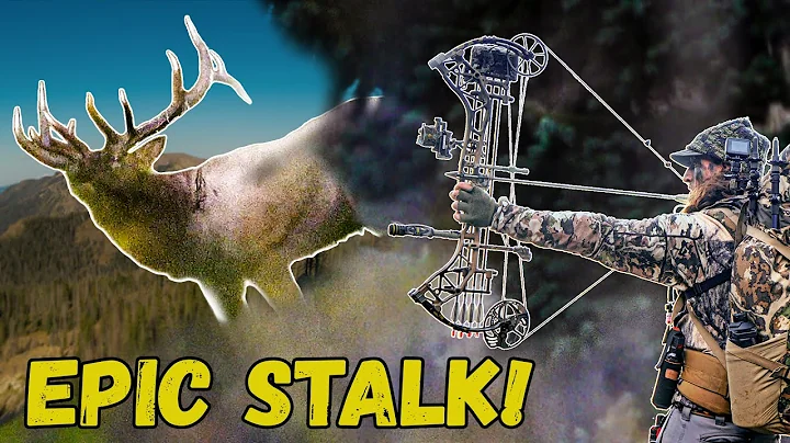 Zach’s Elk Hunt! (Spot and Stalking a HERD Bull)