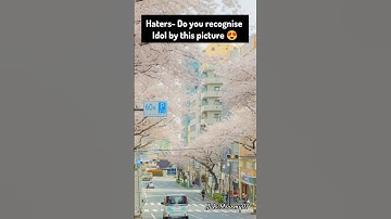 Haters-Do you recognise idol by this picture😍#bts #shorts #fyp #kpop #tiktok #trending #shortsfeed