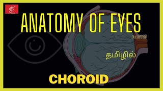 ANATOMY OF CHOROID | EYES ANATOMY IN TAMIL #CHOROID #UVEALTRACT #UVEAL #ANATOMYINTAMIL