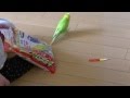 おしゃべりインコのピッピがバックステップで喜ぶ！