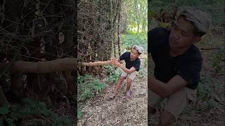 Download Lagu fluffy animal hiding in a bamboo hole #nature #videoshort MP3