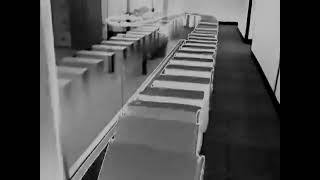 Domino PCs in Sadie Major