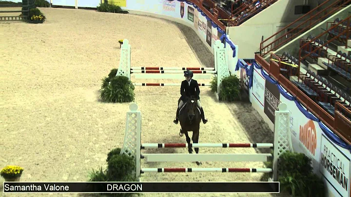 1273 DRAGON Samantha Valone, Class 48d Equitation ...