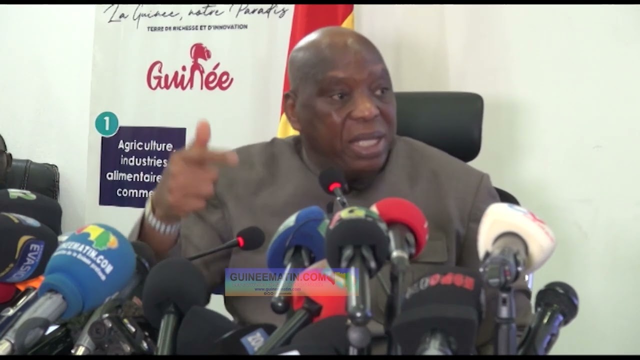 Situation des guinéens en Allemagne : Morissanda annonce une une commission d'enquête bilatérale