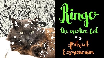 Abstract Expressionism with Ringo the Creative Cat