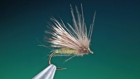Tying the Skating caddis/sedge with Barry Ord Clarke