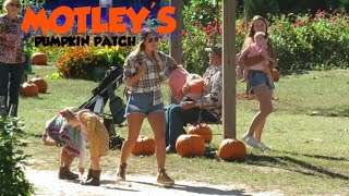 MOTLEY'S PUMPKIN PATCH 2021 - LITTLE ROCK, ARKANSAS