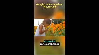 Google's most searched playground  #funfacts
