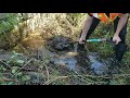 Digging Out A Culvert And Unclogging Drains