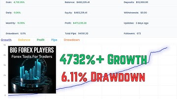 Big Forex Players V3.1 – Powerful MT4 EA for Profitable Trading | 99% OFF!