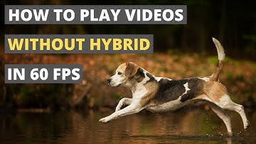 How to Play Videos without Hybrid in 60 FPS | No Conversion