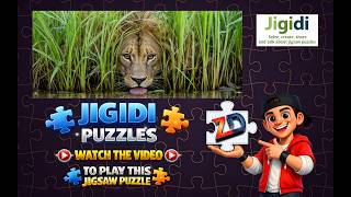 Jigidi Jigsaw Puzzles - Lion In The Grass - (By Zro Dfects) Play This Jigsaw Puzzle Online Today