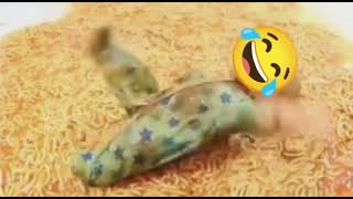 Baby Laughing At The Kcsfx And Dancing On The Spaghetti