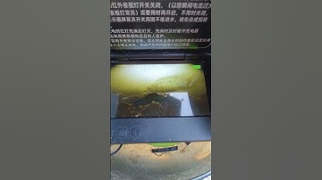 cận cảnh cá rô phi ăn mồi dưới nước