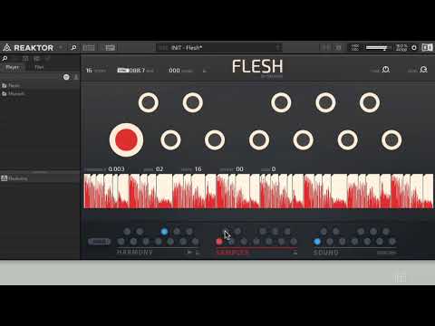 Flesh 101: Flesh 101 - Fleshing It Out - 9. Sample Player