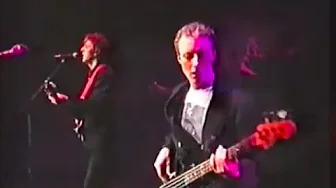 Robyn Hitchcock & The Egyptians (Live, 1991) Oceanside/ Birds In Perspex/ Somewhere Apart/ Ride Robyn Hitchcock & The Egyptians (Live, 1991) Oceanside/ Birds In Perspex/ Somewhere Apart/ Ride