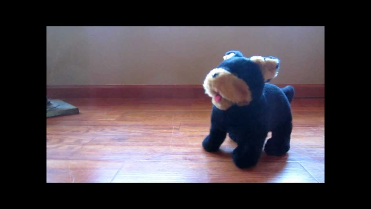 Flipping Dog YouTube