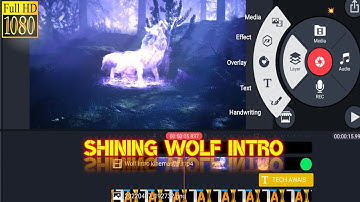 HOW TO MAKE SHINING WOLF  YOUTUBE INTRO IN ANDROID | BUTTERFLY INTRO MAKER | INTRO KAISE BANAYE 2022