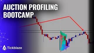 Auction Profiling Bootcamp Preview