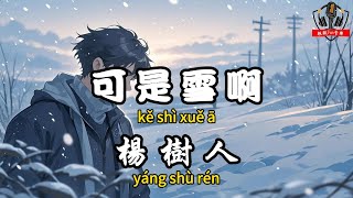 楊樹人 - ﻿可是雪啊『找不到的你啊 忘不掉的眼睛』【繁體拼音動態歌詞Lyrics】【CC字幕】