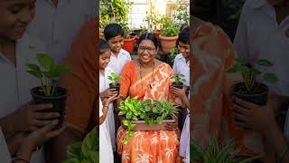 ग्रीन फ्यूचर की शुरुआत 💚Money Plants Gifted to School Children 🌱#hamariprakruti #homegarden