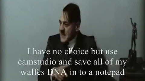 Hitler Pros and Cons: create.swf (walfas)