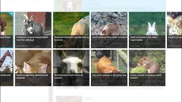 Windows 8 Using XAML: Styles, Sources and Zoom trailer