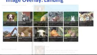 Windows 8 Using XAML: Styles, Sources and Zoom trailer