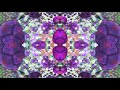 Virtual Rave Visuals 010 - The All - 4K 60fps Psychedelic Rainbow Fractals