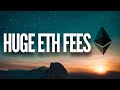 Ethereum High Fees | Lets Talk Zilliqa | Cardano | Algorand