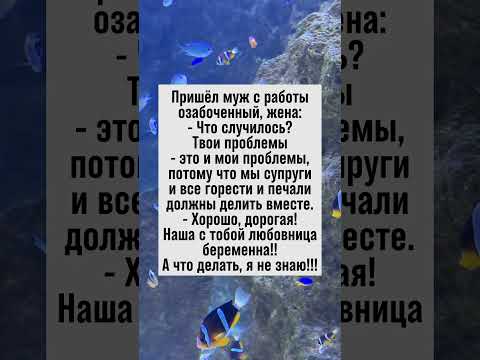 Любовница беременна: неожиданное раскрытие семейных «проблем» #анекдот #семья