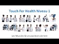 Les 14 tests musculaire du touch for health   1 en vidos  avec explications et anatomie