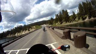 Yellowstone 1.avi