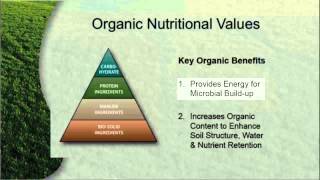 The Long-Term Benefits of Organic Fertilizers