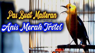 ANIS MERAH ISIAN MEWAH, MASTERAN ANIS MERAH