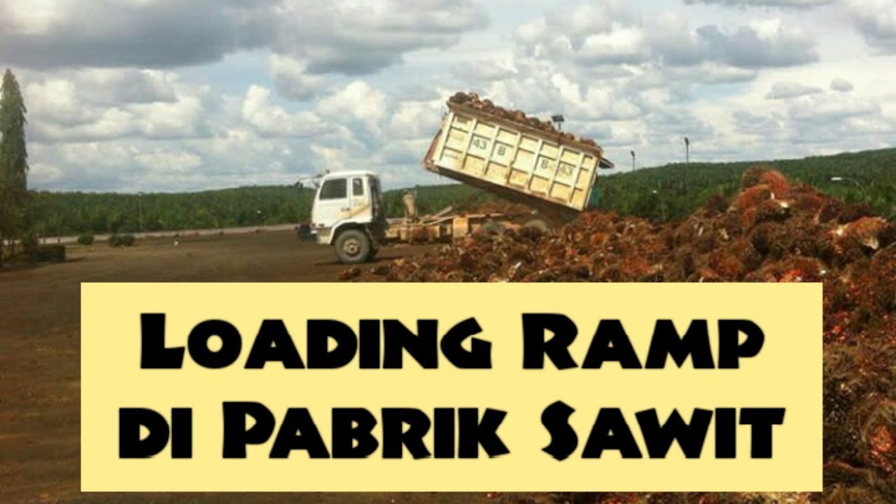 LOADING RAMP PABRIK KELAPA SAWIT DI SALAH SATU PERKEBUNAN SWASTA - YouTube
