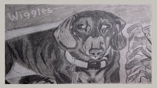 Art Preview: Wiggles