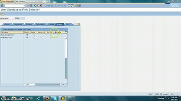 SAP Security Training How to setup what can be changed in Child System