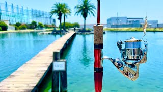 Midsummer Day Miracle] There's a Big Fish Beyond the Bridge [Area