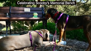 Botanical Garden Dog Walk - Scooby's Memorial Bench