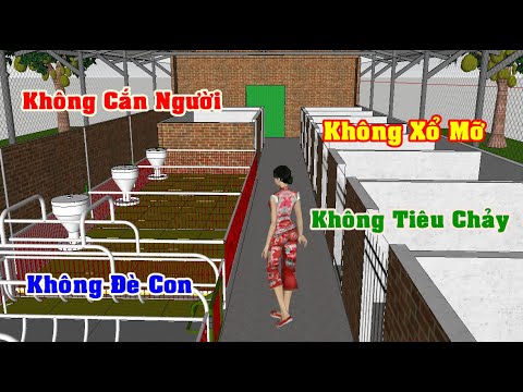 Video Cách làm chuồng nuôi heo rừng (lợn rừng) sinh sản |... - youtube