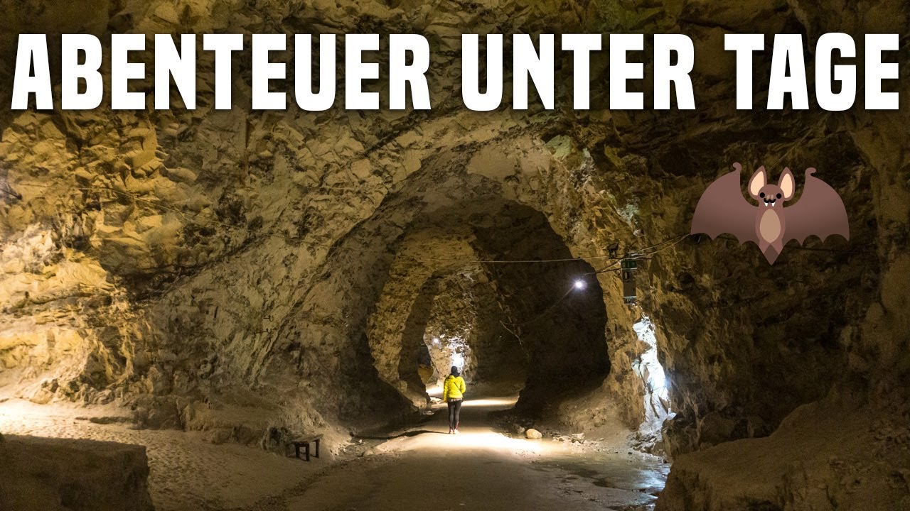 Mønsted Kalkgruben in Dänemark: Beliebtes Ausflugsziel für Familien mit Kindern 🦇